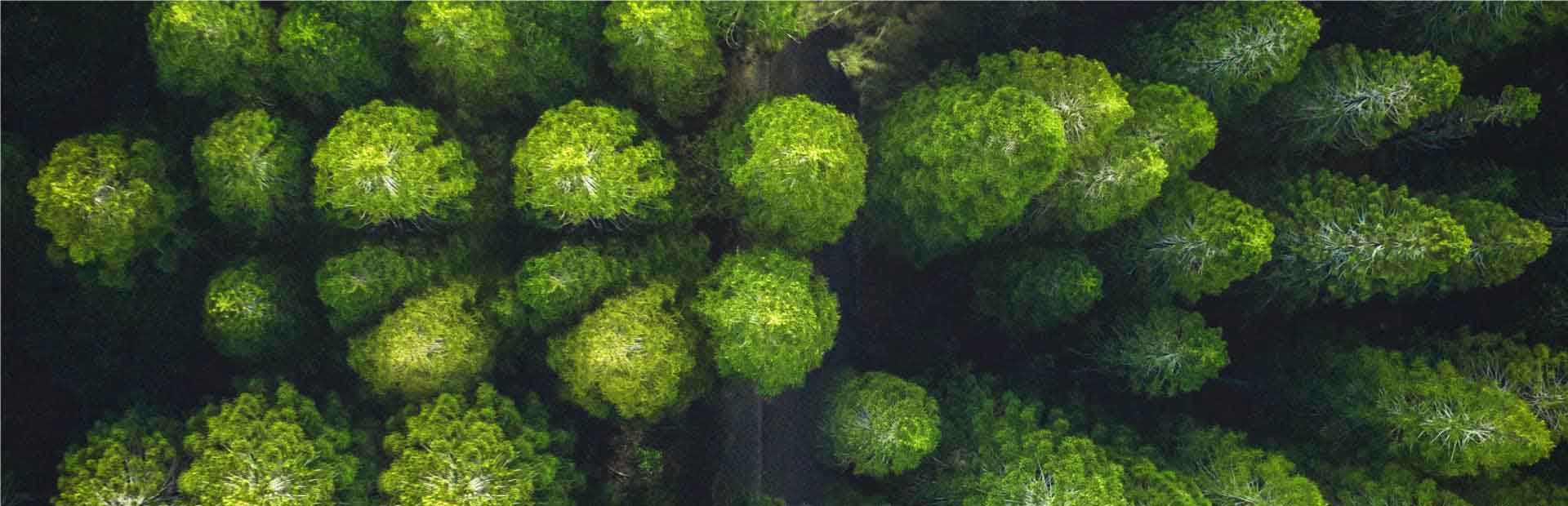 壹度官网-3关于我们-10可持续发展-英文版